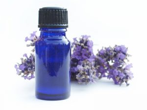 Lavender Bottle on white background