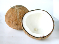 coconut-1327503